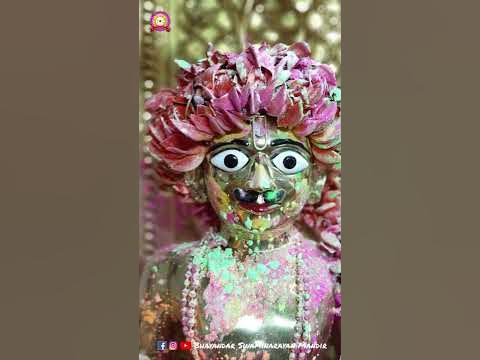 swaminarayan holi