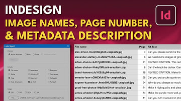 InDesign Alt Text Links Report