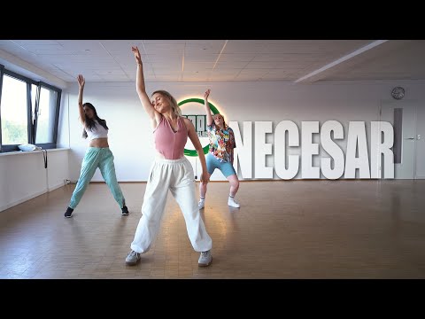 Mario Fresh x Renvtø - Necesar | Choreo by Stephi