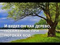 И будет он как дерево, посаженное при потоках вод (Служение церквей ЕврАзии) - 13.10.2022