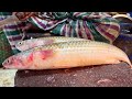 Super Testy &amp; Big Popular Batta &amp; Prawns Cutting In Fish Market | Fish Cutting Skills