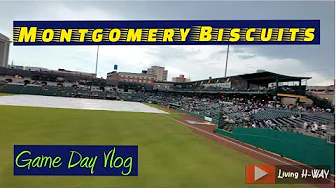 Take a walk with me inside the game...Game Day Vlog! Living H-WAY! #wedalife #baseball