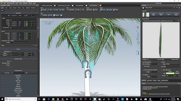 Palm Tree Tutorial (Speedtree & Photoshop)