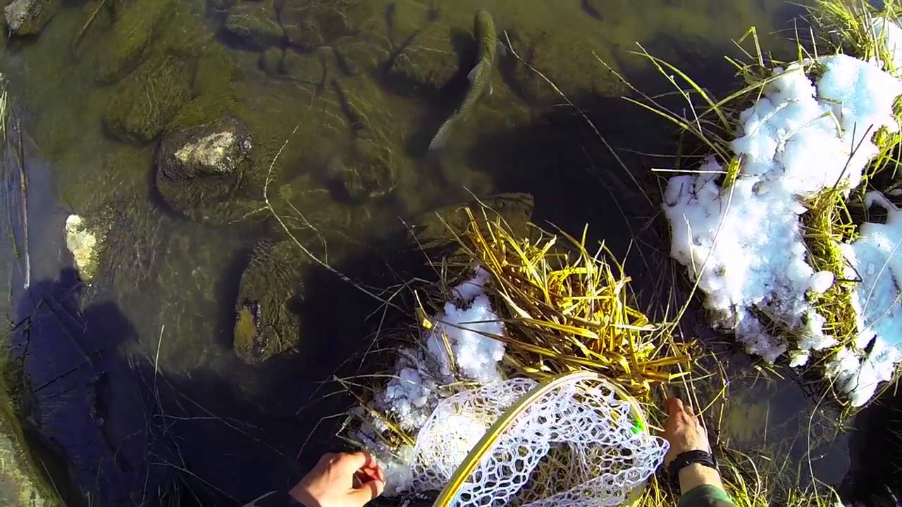 Fly Fishing Silver Creek YouTube