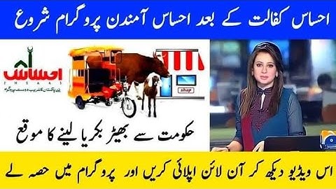 Ehsaas Amdan Program | Amdan Program Phase 2 | Online Registration