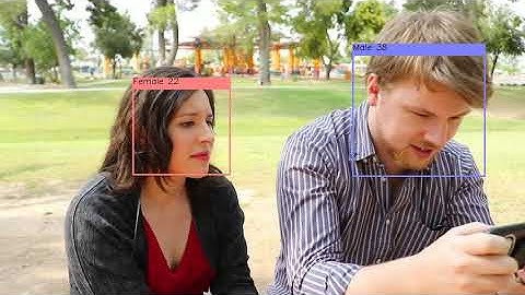 ailia MODELS : AgeGenderRecognitionRetail