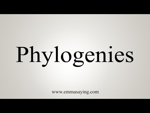 How To Say Phylogenies