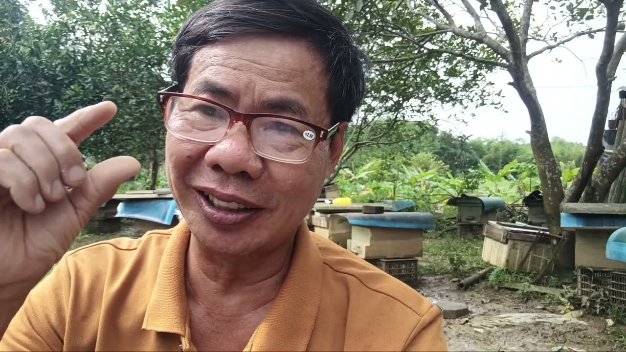 CHIA SẺ CÁCH TẠO ONG ĐỰC SỚM,Ở VỤ THU ĐÔNG LÀ VIỆC LÀM CẦN THIẾT,CHƯỚC KHI TẠO CHÚA.