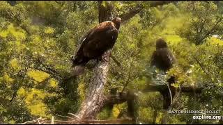 Decorah Eagles North Early morning breakfast 07 19 2021