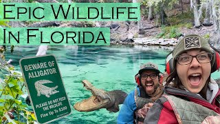 Best Nature and Wildlife Spots Near Orlando Florida