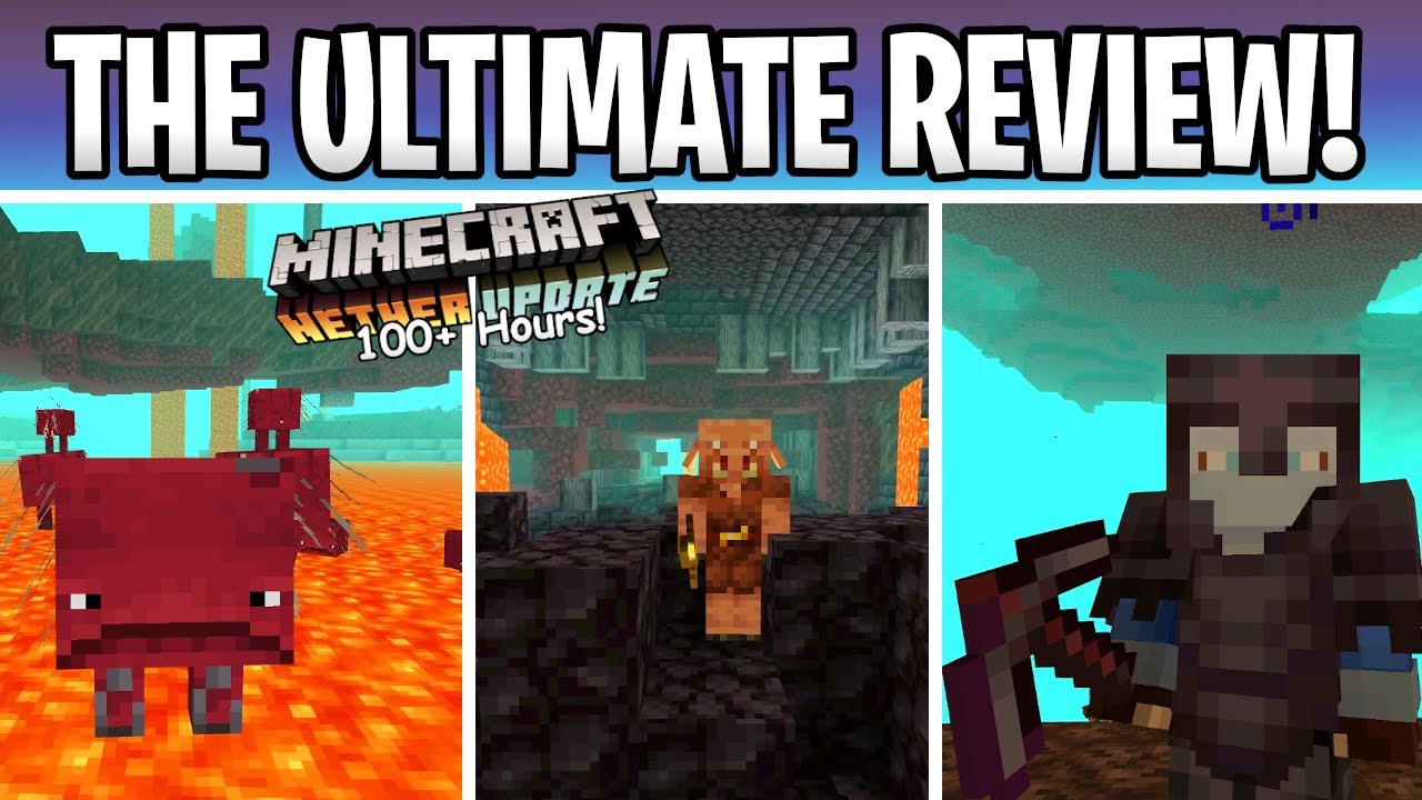 Minecraft 100+ Hours Nether Update Review! 1.16 Mobs