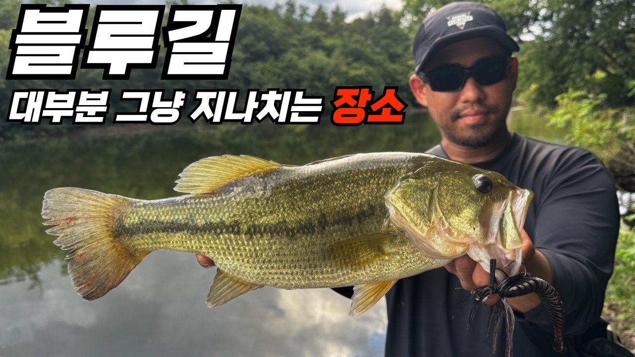 오늘도 그냥 지나친 그곳! 블루길 산란장! [4K]