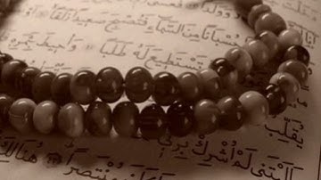 سورة فاطر  _  محمود عبدالحكم