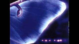 Jon Hopkins - Luna Moth