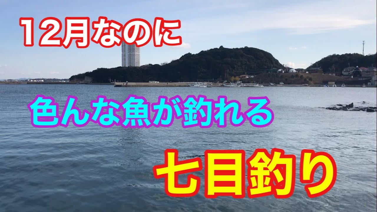 12月なのに色んな魚が釣れる七目釣り 知多半島