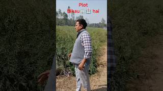 Plot Bikau Hai.. Village: Ramnagar Dhaurehara .Near Power Grid on @Ayodhya to Lucknow NH:27..👆🏿