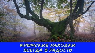 КРЫМСКИЕ НАХОДКИ ВСЕГДА В РАДОСТЬ