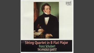 String Quartet in B-Flat Major, D. 112: I. Allegro ma non troppo