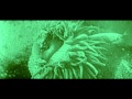 Secret Space "Pit of My Stomach" (Official Music Video)