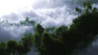 Cloud Canopy