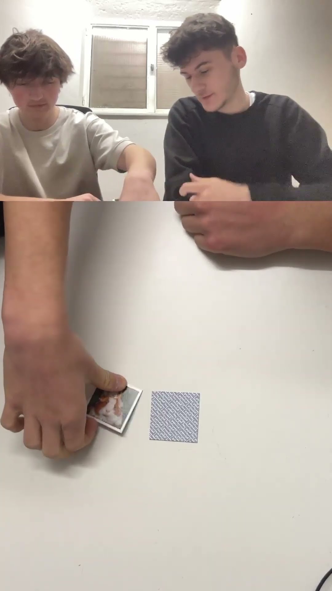 Meerschweinchen &amp; Ente bringen uns zur Verzweiflung! 😮🤔 #memory # ...