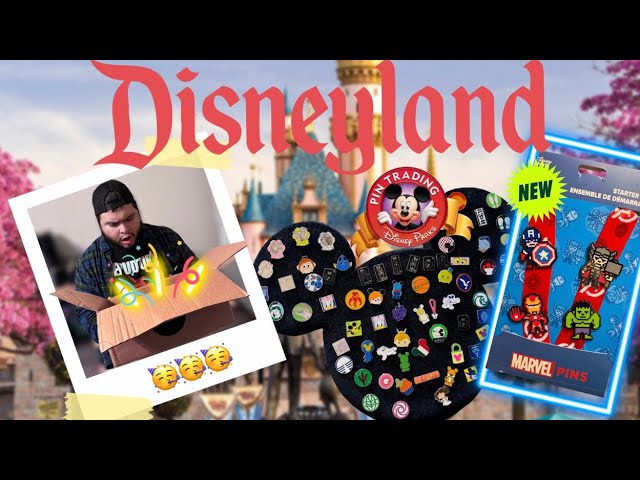Disney Pin Trading 101 - Don't Just Fly