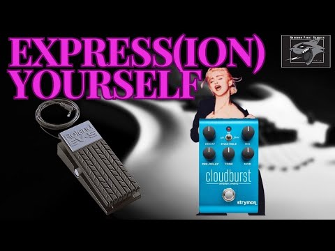 How to Use an Expression Pedal with the Strymon Cloudburst Reverb Pedal