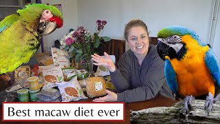 DRY MIX FOR PARROTS | THE ABSOLUTE BEST DIET FOR A MACAW | SHELBY THE MACAW