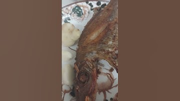 Mời quý vị dùng bữa cơm trưa đạm bạc nhé.