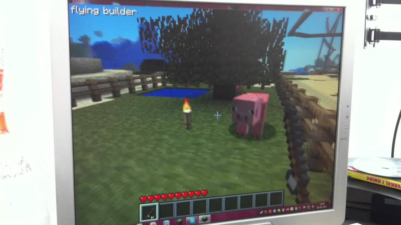 minecraft dog leash YouTube