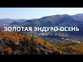 Это было великолепно! Эндуро покатушки в золотую осень.