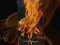 اللهم اكفنا شر الحسد والحساد
