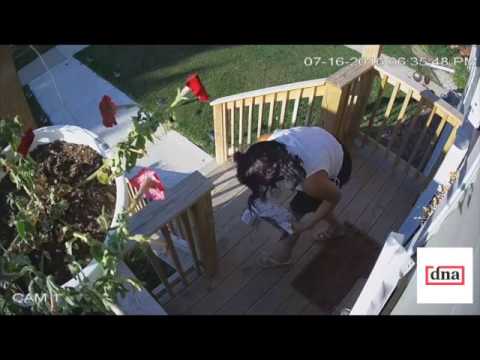 Package Thief Caught On Camera - YouTube
