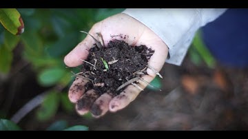 Yardbook - Do you want to grow your Landscaping business?  Introducing Premium Features