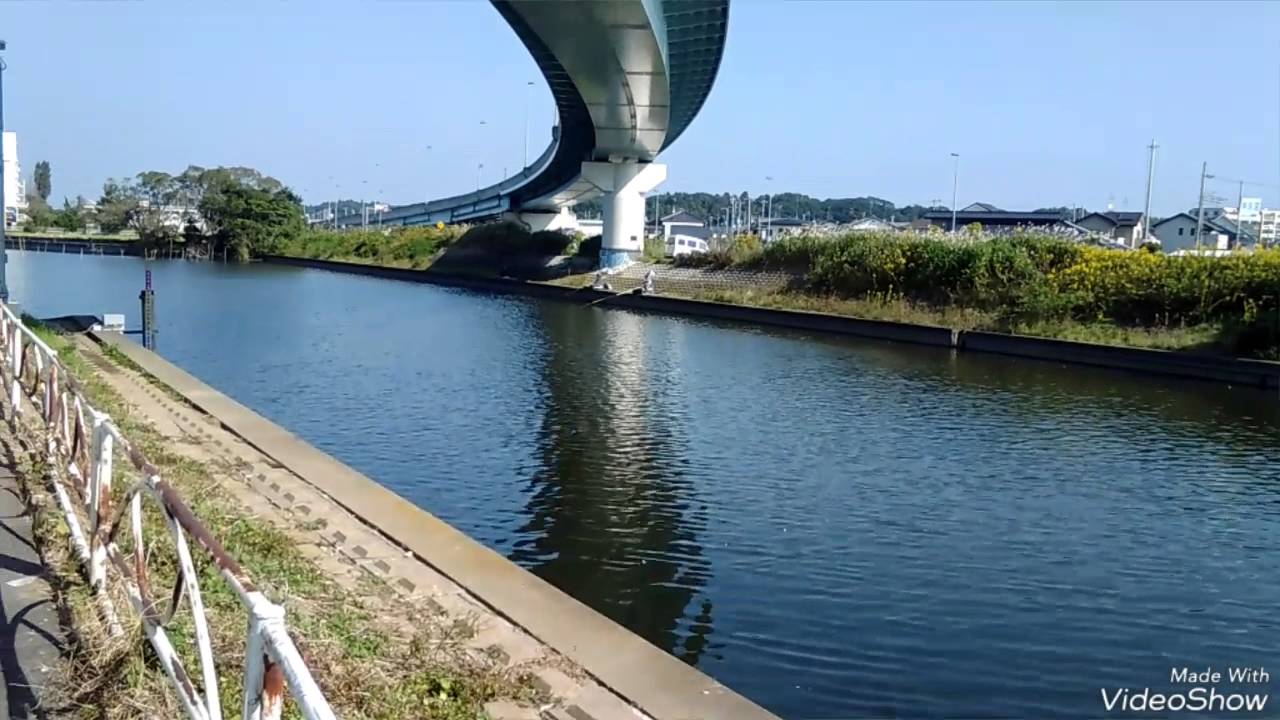 16 10 牛久沼 霞ヶ浦 菅生沼レポート Youtube