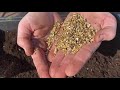 Cómo hacer semilleros y preparar la tierra