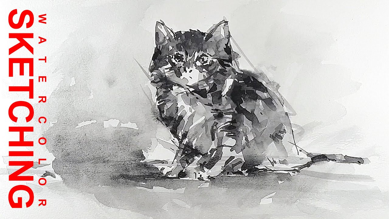 easy watercolor painting of cat for beginners YouTube