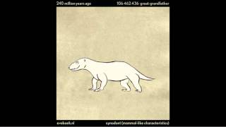 Famous Humans Evolution animation over millions of years from a Single cell to what we are now! Net Worth