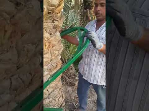 جهاز صعود النخيل في العراق الرجاء الاشتراك بالقناة 