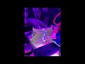 [FREE] New Detroit/Florida Loopkit - "Been Ballin " (Luh Tyler, Veeze, Rocaine, El Snappo )