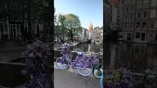 AMSTERDAM #netherlands #travel #shorts #vangogh #canals #windmill