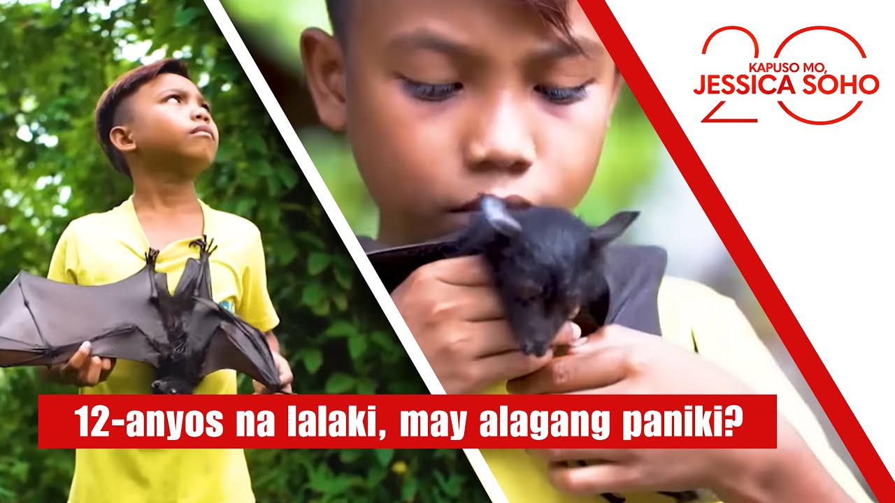 12-anyos na lalaki, may alagang paniki?! | Kapuso Mo, Jessica Soho