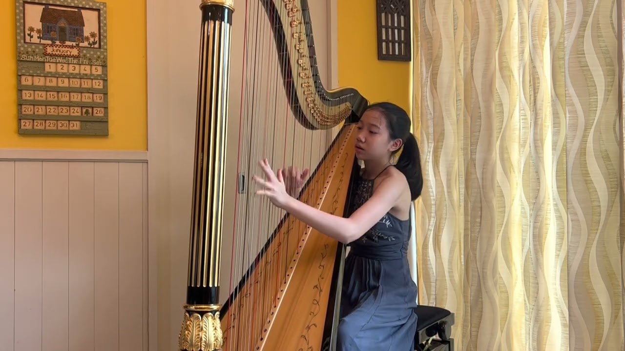 Mikhail Mchedelov- Variations on a Theme of Paganini