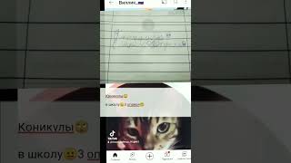 Мем😬 👎🏻 -100 социал кредит