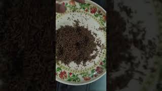 Tftftftftftftftftftf