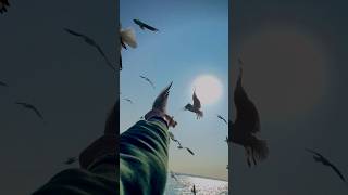 Aazma Raha Mujhe Kyun... 💔 | #JubinNautiyal #Shorts #lyrics