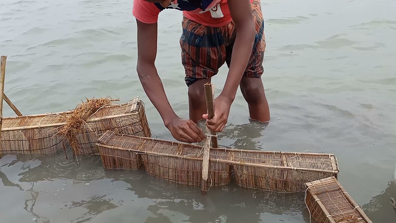 Traditional Fishing System