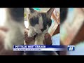 Pet Talk: Meet Kramer