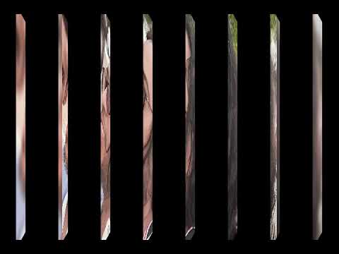 أسد باشا قصيدة زليخاء العصر