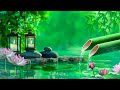 Beautiful piano music  bamboo relaxing music relieves stress music calming music nature sounds